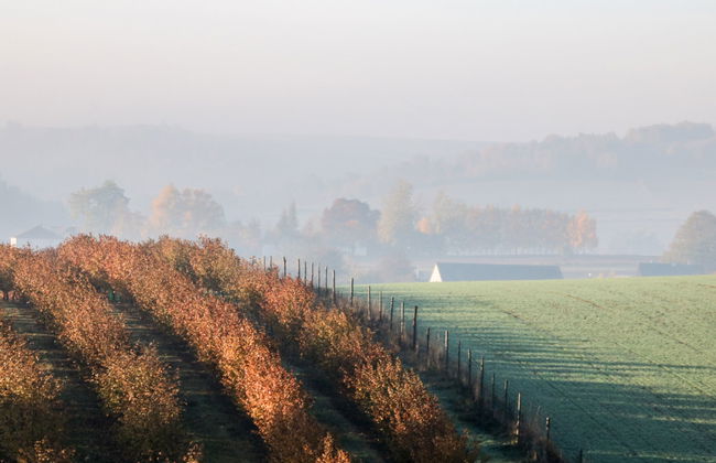 Jura dla Ciebie - Foto 36