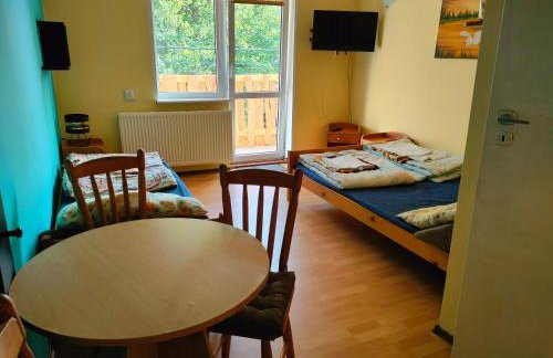 Pokoje Gościnne Danusia - Foto 26