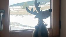 RealView - Chalet 3 Chambres - Foto 4