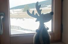 RealView - Chalet 3 Chambres - Foto 4