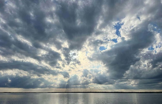 Everglades Day Trip - Photo 2