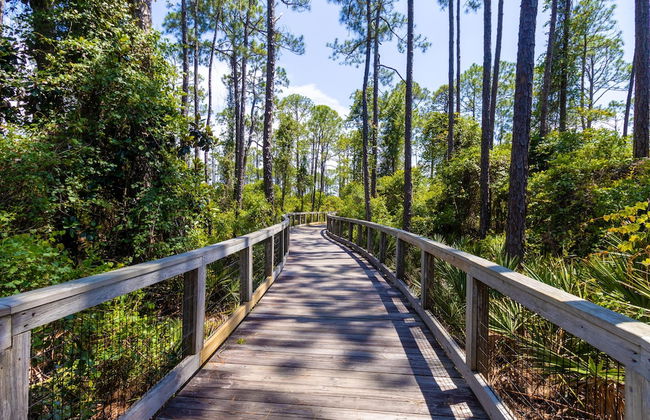 Prominence North #89c - Sun Times - Foto 27