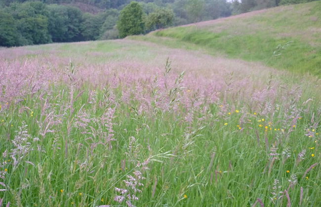 Mañarinegi Apartamentos Rurales - Photo 24