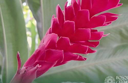 Refugio Aldeia dos Camarás - Foto 54