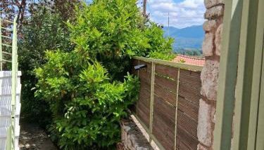 Aeria View - Foto 3, Garden view