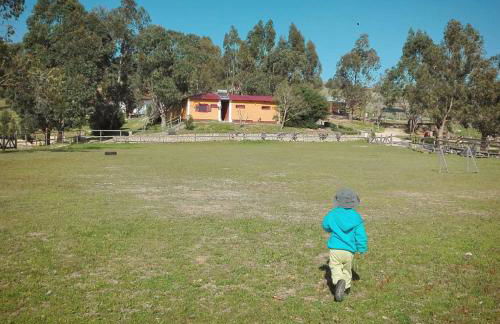 Herdade da Hera - Foto 23