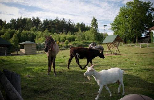 Zielone Wzgórza - Foto 32