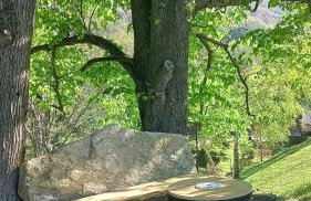 Domki pod lipą - Foto 19