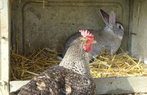 Gite La Saubolle à Marciac - Photo 30