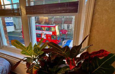 Quiet apartment 1 or 2 bedrooms Local Bus Train Tube - Foto 23