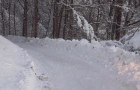 Chalet Lagorai - Foto 11