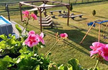 Ferienhaus Plichta - Photo 36