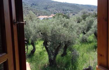 Koutadelias rooms - Foto 53