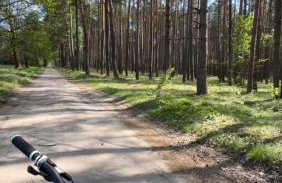 Gościniec Zacisze w Kłodnicy - Foto 43