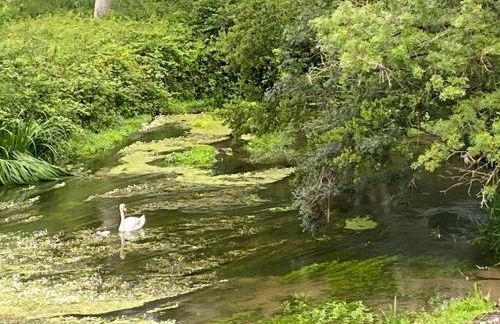 Studio Indre climatisé, La halte de Cuzé, aux abords de la Loire à vélo - Foto 28