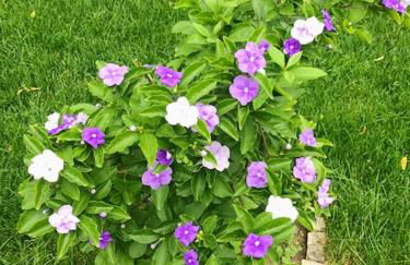 Charming Villa in Resende with Private Pool - Foto 40