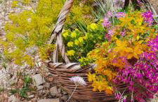 Quinta das Pedras - Tavira - Foto 16