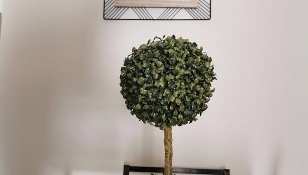 Basalt Dwelling II by Homie - Foto 5, Zimmer