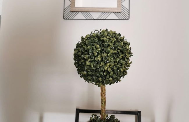 Basalt Dwelling II by Homie - Foto 6