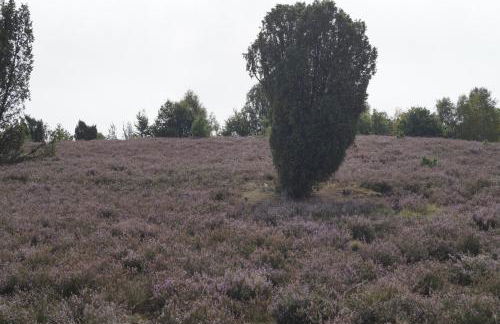 Ferienwohnungen / Ferienhaus Wahlers - Foto 39