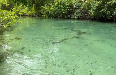 Weeki Wachee Retreat Canal home with hot tub kayaks canoe and boat with trolling motor included - Foto 44