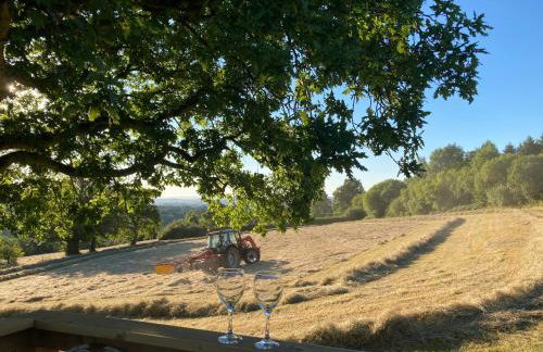 Outstandingly Situated Cosy Shepherds Hut - Foto 29