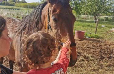 Golden Valley apartment & ranch - Foto 29