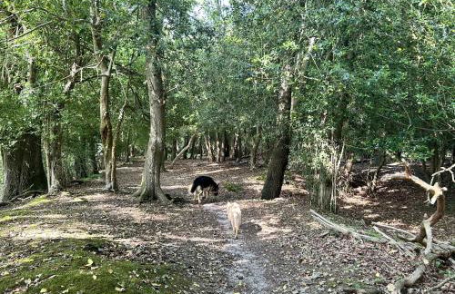 Yew Tree Cottage - Photo 2