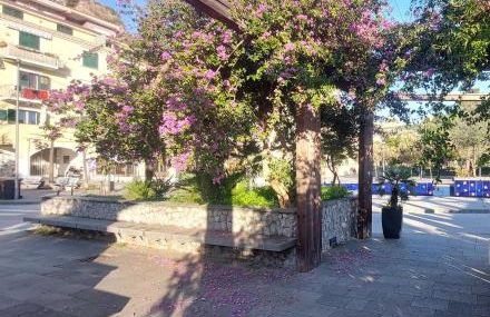 Approdo di Marina - Foto 56