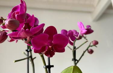 A due passi da - Foto 1