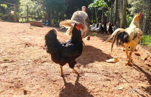 Pousada e Restaurante Victórios - Photo 15