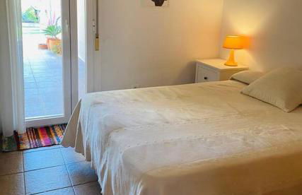 El Toyo Cactus - Foto 10