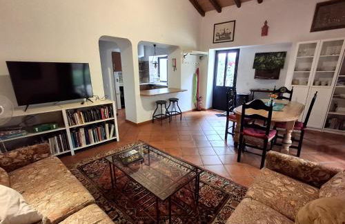 Garden in the City - Photo 10