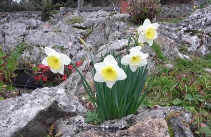 La Huerta, megustarural - Foto 33