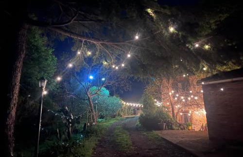 Poggio Roseto - Foto 150