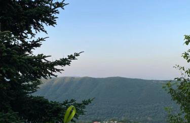 Άγρια Λούλουδα Κατοικία Ευτυχία - Photo 11