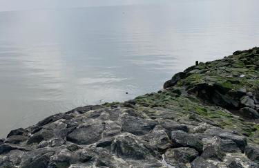 Neuhaus Deichperle - Foto 30