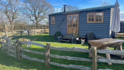 Whittlewood Shepherd's Hut in Silverstone, Cosy, Rural, Views - Foto 1, stove, Shower