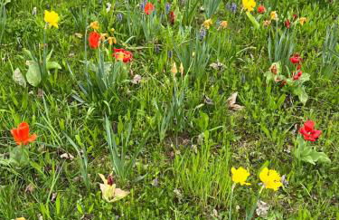 Ermstalsuite - Foto 14