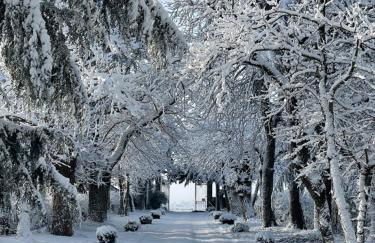 Château Doré les Tours - Appartement Renard - Proche Puy du Fou - Foto 44