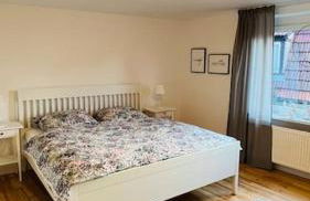 Mitten in den Weinbergen - Foto 11