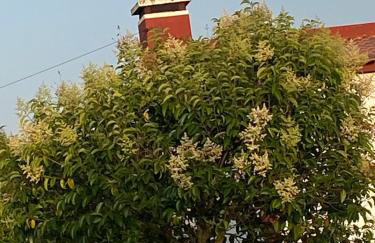 Casa do Jardim - Foto 30