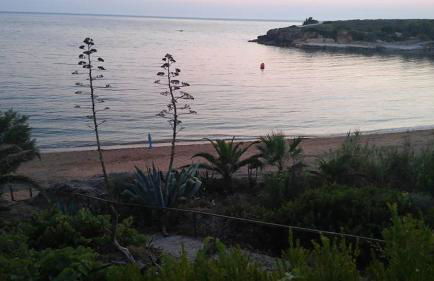 Dionisis Apartments - Photo 45