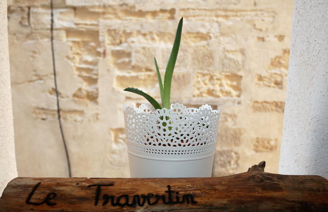 Le Travertin - Photo 50