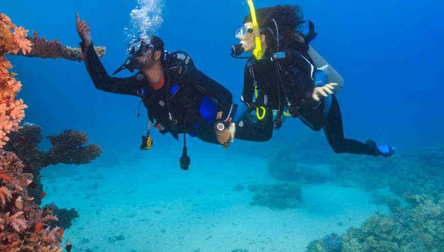 Nilaveli Beginner's Diving - Foto 1
