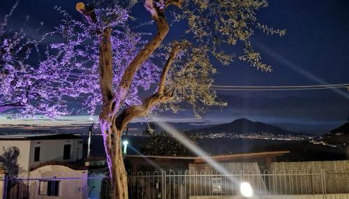 Villa Serena - Foto 2