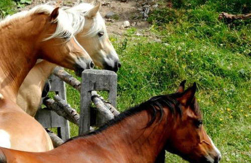 Appartments Neuhof - Photo 74