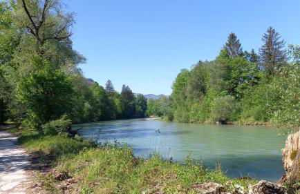 Ferienwohnung Alpenfex - Foto 5