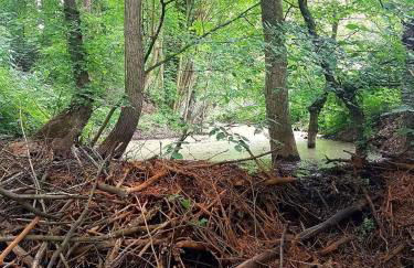 Holiday home in Coswig 3105 - Foto 25