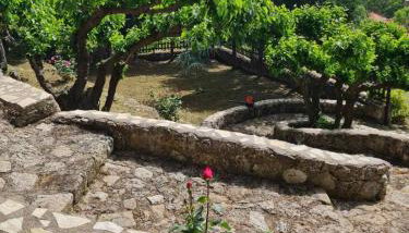 Dimitris-Vella - Foto 2